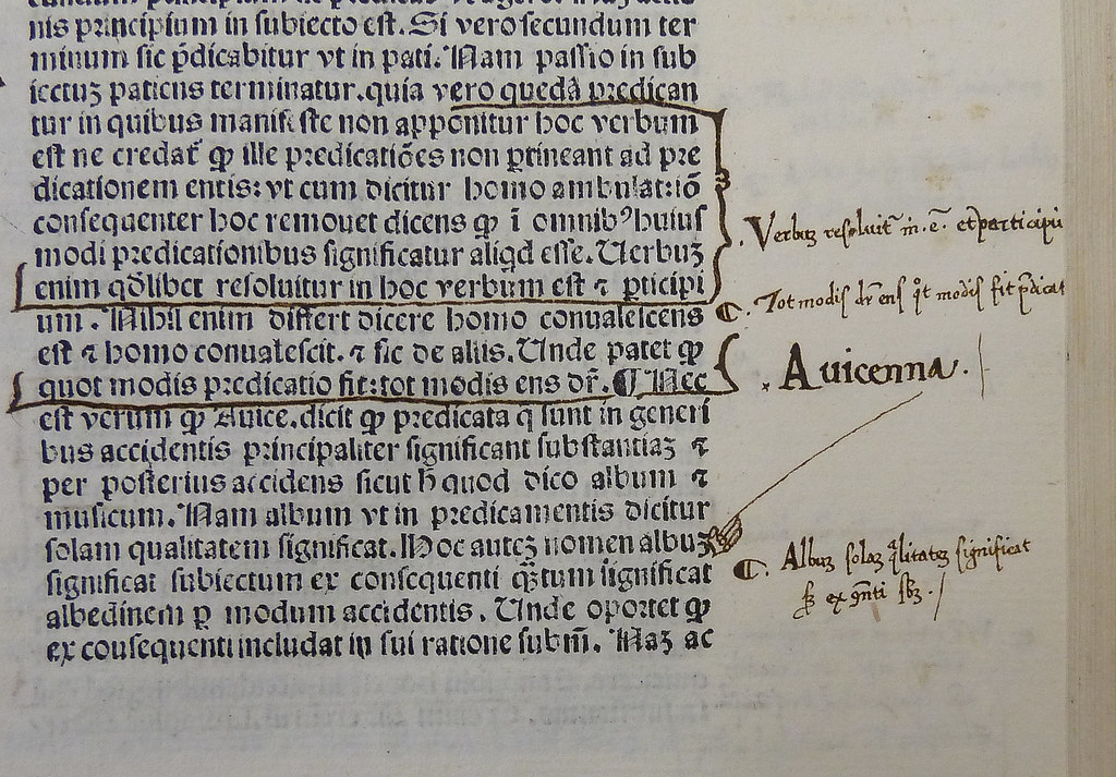Particolare di una pagina a stampa con parentesi, sottolineature, il nome Avicenna scritto a margine e una piccola mano che indica una riga.